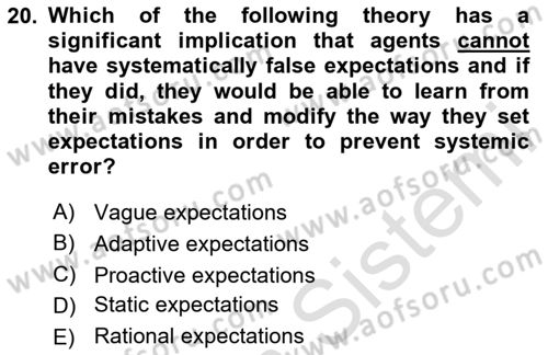 Behavioral Economics Dersi 2024 - 2025 Yılı Yaz Okulu Sınav Soruları 20. Soru