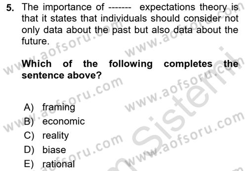 Behavioral Economics Dersi 2024 - 2025 Yılı Yaz Okulu Sınav Soruları 5. Soru