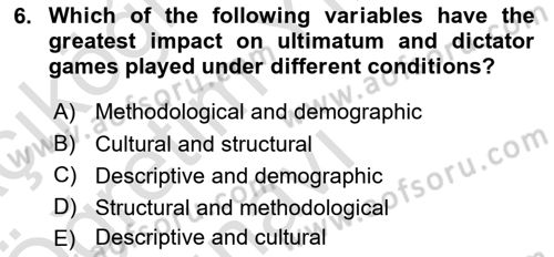 Behavioral Economics Dersi 2024 - 2025 Yılı Yaz Okulu Sınav Soruları 6. Soru