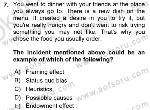 Behavioral Economics Dersi 2024 - 2025 Yılı Yaz Okulu Sınav Soruları 7. Soru