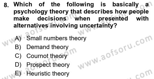 Behavioral Economics Dersi 2024 - 2025 Yılı Yaz Okulu Sınav Soruları 8. Soru