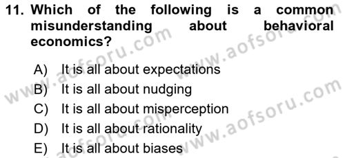 Behavioral Economics Dersi 2025 - 2026 Yılı (Vize) Ara Sınav Soruları 11. Soru