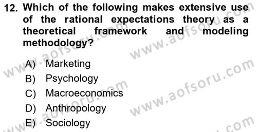 Behavioral Economics Dersi 2025 - 2026 Yılı (Vize) Ara Sınav Soruları 12. Soru