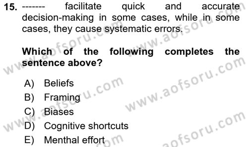 Behavioral Economics Dersi 2025 - 2026 Yılı (Vize) Ara Sınav Soruları 15. Soru