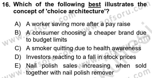 Behavioral Economics Dersi 2025 - 2026 Yılı (Vize) Ara Sınav Soruları 16. Soru