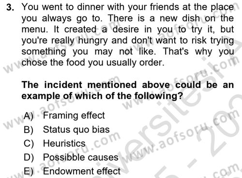 Behavioral Economics Dersi 2025 - 2026 Yılı (Vize) Ara Sınav Soruları 3. Soru