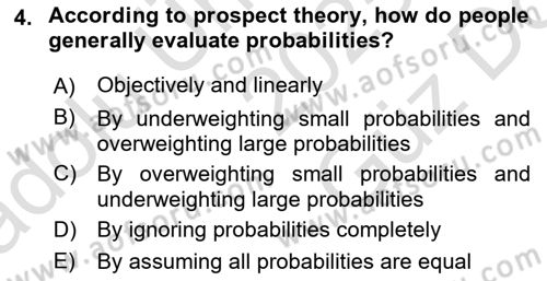 Behavioral Economics Dersi 2025 - 2026 Yılı (Vize) Ara Sınav Soruları 4. Soru