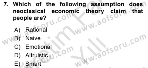 Behavioral Economics Dersi 2025 - 2026 Yılı (Vize) Ara Sınav Soruları 7. Soru