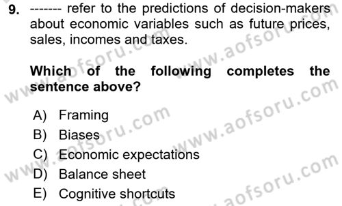 Behavioral Economics Dersi 2025 - 2026 Yılı (Vize) Ara Sınav Soruları 9. Soru