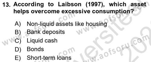 Behavioral Economics Dersi 2025 - 2026 Yılı (Final) Dönem Sonu Sınav Soruları 13. Soru
