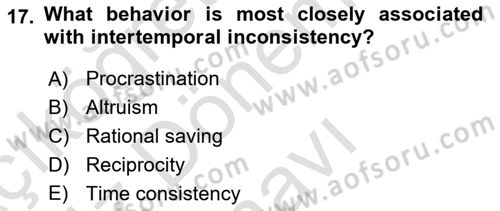 Behavioral Economics Dersi 2025 - 2026 Yılı (Final) Dönem Sonu Sınav Soruları 17. Soru