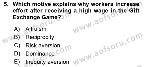 Behavioral Economics Dersi 2025 - 2026 Yılı (Final) Dönem Sonu Sınav Soruları 5. Soru