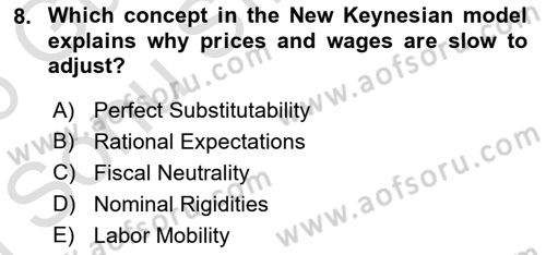 Behavioral Economics Dersi 2025 - 2026 Yılı (Final) Dönem Sonu Sınav Soruları 8. Soru
