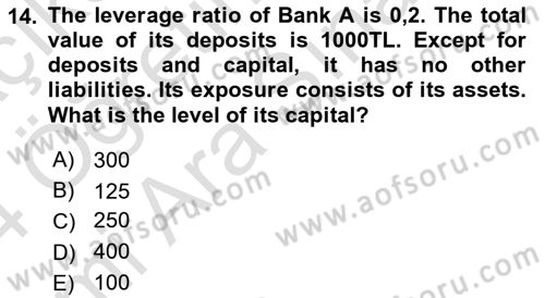 Financial Economics Dersi 2023 - 2024 Yılı (Vize) Ara Sınav Soruları 14. Soru