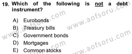 Financial Economics Dersi 2023 - 2024 Yılı (Vize) Ara Sınav Soruları 19. Soru