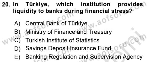 Financial Economics Dersi 2023 - 2024 Yılı (Vize) Ara Sınav Soruları 20. Soru