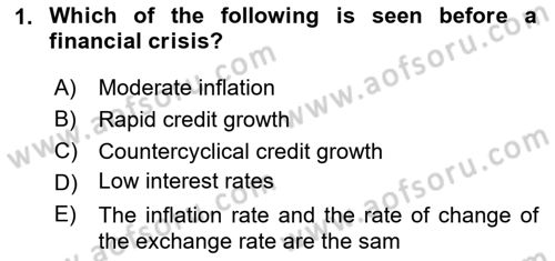 Financial Economics Dersi 2024 - 2025 Yılı (Vize) Ara Sınav Soruları 1. Soru