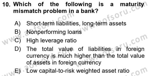 Financial Economics Dersi 2024 - 2025 Yılı (Vize) Ara Sınav Soruları 10. Soru