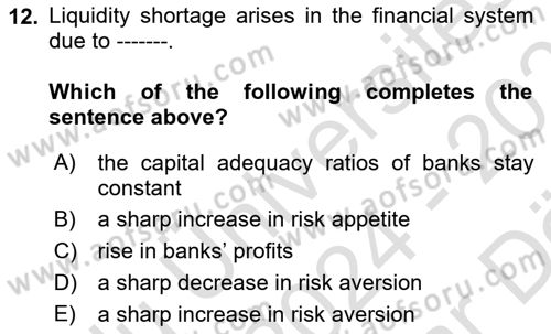 Financial Economics Dersi 2024 - 2025 Yılı (Vize) Ara Sınav Soruları 12. Soru