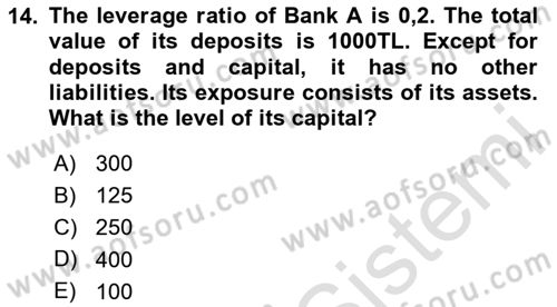 Financial Economics Dersi 2024 - 2025 Yılı (Vize) Ara Sınav Soruları 14. Soru