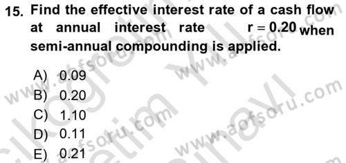 Financial Economics Dersi 2024 - 2025 Yılı (Vize) Ara Sınav Soruları 15. Soru