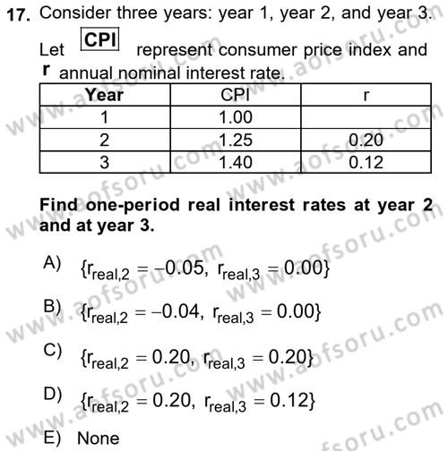 Financial Economics Dersi 2024 - 2025 Yılı (Vize) Ara Sınav Soruları 17. Soru
