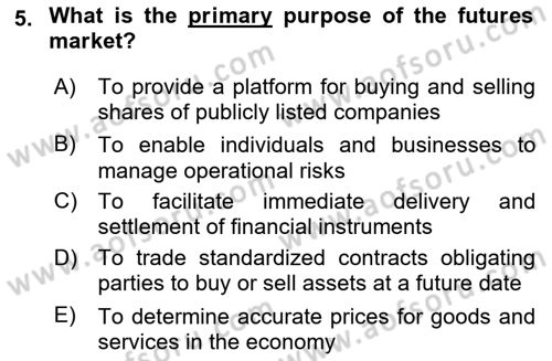 Financial Economics Dersi 2024 - 2025 Yılı (Vize) Ara Sınav Soruları 5. Soru