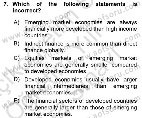 Financial Economics Dersi 2024 - 2025 Yılı (Vize) Ara Sınav Soruları 7. Soru