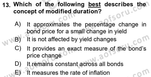 Financial Economics Dersi 2024 - 2025 Yılı (Final) Dönem Sonu Sınav Soruları 13. Soru