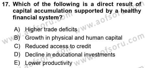 Financial Economics Dersi 2024 - 2025 Yılı (Final) Dönem Sonu Sınav Soruları 17. Soru