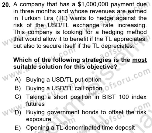 Financial Economics Dersi 2024 - 2025 Yılı (Final) Dönem Sonu Sınav Soruları 20. Soru