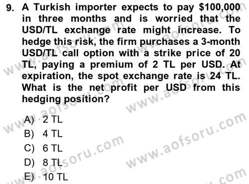 Financial Economics Dersi 2024 - 2025 Yılı (Final) Dönem Sonu Sınav Soruları 9. Soru
