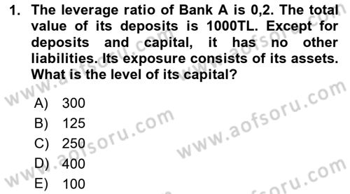 Financial Economics Dersi 2024 - 2025 Yılı Yaz Okulu Sınav Soruları 1. Soru