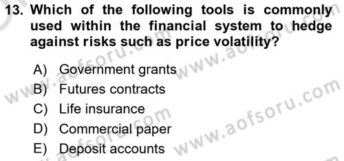 Financial Economics Dersi 2024 - 2025 Yılı Yaz Okulu Sınav Soruları 13. Soru