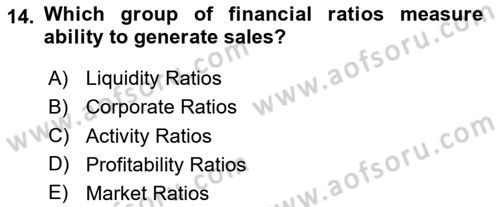 Financial Economics Dersi 2024 - 2025 Yılı Yaz Okulu Sınav Soruları 14. Soru