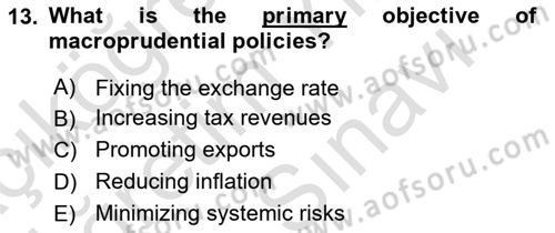 Financial Economics Dersi 2025 - 2026 Yılı (Vize) Ara Sınav Soruları 13. Soru