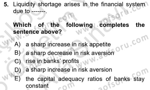 Financial Economics Dersi 2025 - 2026 Yılı (Vize) Ara Sınav Soruları 5. Soru