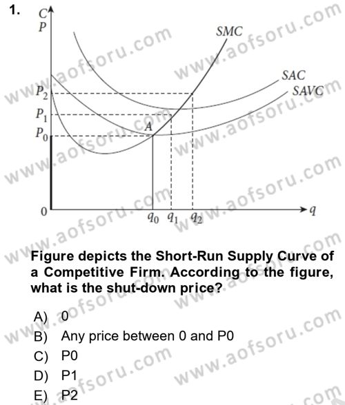 Industrial Economics Dersi 2023 - 2024 Yılı (Vize) Ara Sınav Soruları 1. Soru