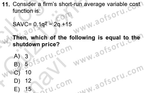 Industrial Economics Dersi 2023 - 2024 Yılı (Vize) Ara Sınav Soruları 11. Soru