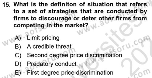 Industrial Economics Dersi 2023 - 2024 Yılı (Vize) Ara Sınav Soruları 15. Soru