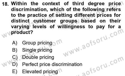 Industrial Economics Dersi 2023 - 2024 Yılı (Vize) Ara Sınav Soruları 18. Soru