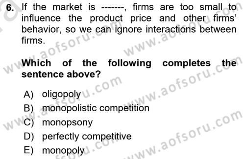 Industrial Economics Dersi 2023 - 2024 Yılı (Vize) Ara Sınav Soruları 6. Soru