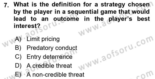 Industrial Economics Dersi 2023 - 2024 Yılı (Vize) Ara Sınav Soruları 7. Soru