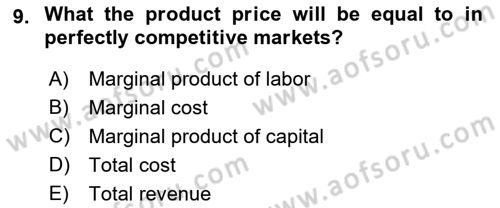 Industrial Economics Dersi 2023 - 2024 Yılı (Vize) Ara Sınav Soruları 9. Soru