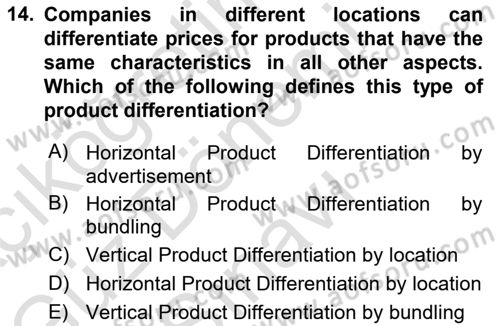 Industrial Economics Dersi 2023 - 2024 Yılı (Final) Dönem Sonu Sınav Soruları 14. Soru