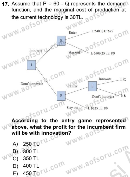 Industrial Economics Dersi 2023 - 2024 Yılı (Final) Dönem Sonu Sınav Soruları 17. Soru
