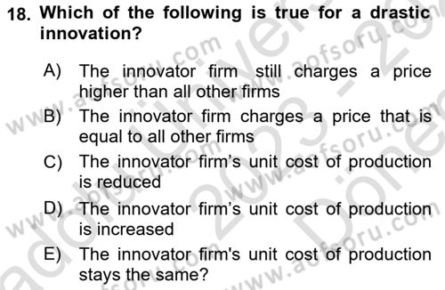 Industrial Economics Dersi 2023 - 2024 Yılı (Final) Dönem Sonu Sınav Soruları 18. Soru