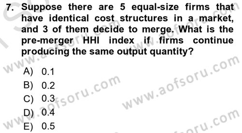 Industrial Economics Dersi 2023 - 2024 Yılı (Final) Dönem Sonu Sınav Soruları 7. Soru