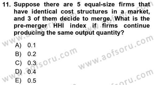 Industrial Economics Dersi 2023 - 2024 Yılı Yaz Okulu Sınav Soruları 11. Soru