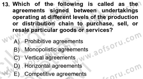 Industrial Economics Dersi 2023 - 2024 Yılı Yaz Okulu Sınav Soruları 13. Soru